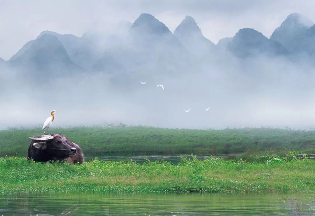 空氣能,太陽能,熱水器